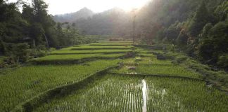 Pembangunan Harus Berkeadilan, Menteri Nusron: Reforma Agraria Jawab Ketimpangan Penguasaan dan Pemilikan Tanah 