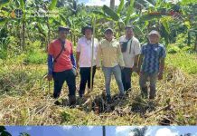 Tinjau Tanah Berstatus HGB Milik Jababeka, Kantah Morotai Tunjukan Komitmen dalam Pengelolaan  Aset Daerah