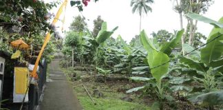 Perjalanan Reforma Agraria di Asahduren, Sertipikat Tanah Ulayat Buka Akses Ekonomi Masyarakat 