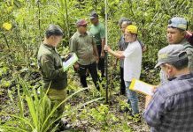 Sidang Perkara Sengketa Lahan di Morotai, Majelis Hakim PN Tobelo Gandeng Juru Ukur Berkompeten