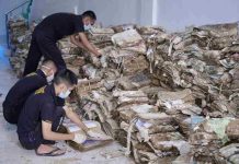 Kepala ANRI Apresiasi Langkah ATR/BPN Libatkan Taruna/i STPN Percepat Restorasi Arsip Pertanahan Pascabencana