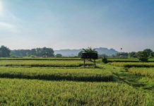 Kementerian ATR/BPN Dukung Swasembada Pangan Lewat Penguatan Kebijakan LBS, LP2B, dan LSD