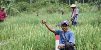 Simak Tips untuk Menjaga Tanah agar Tidak Diserobot Orang Lain