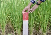 Pasang Patok, Cara Sederhana Cegah Sengketa Tanah dengan Tetangga