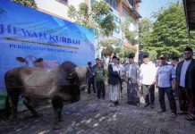 Serahkan Hewan Kurban ke Ponpes Darunnajah, Menteri Nusron: Iduladha Jadi Momentum Mempererat Kebersamaan